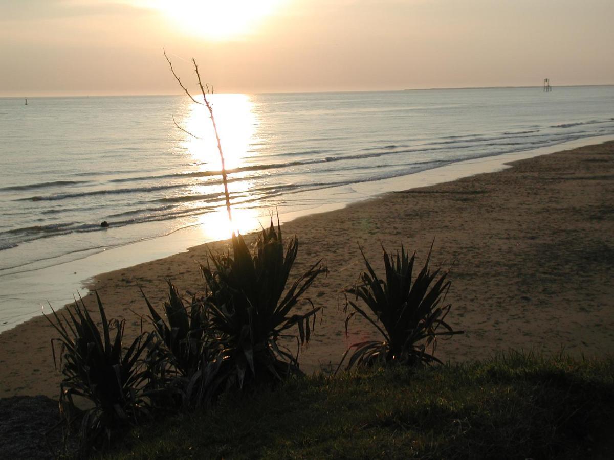 Studio Dunes Aux Ecureuils Saint-Palais-sur-Mer Eksteriør billede