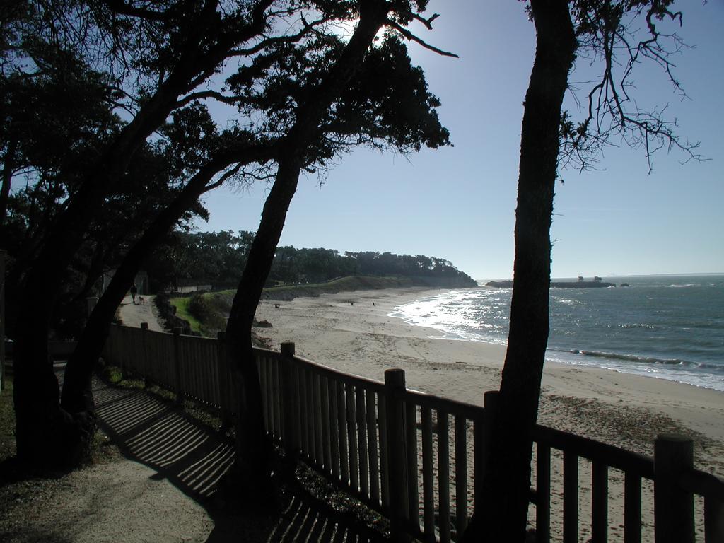 Studio Dunes Aux Ecureuils Saint-Palais-sur-Mer Eksteriør billede